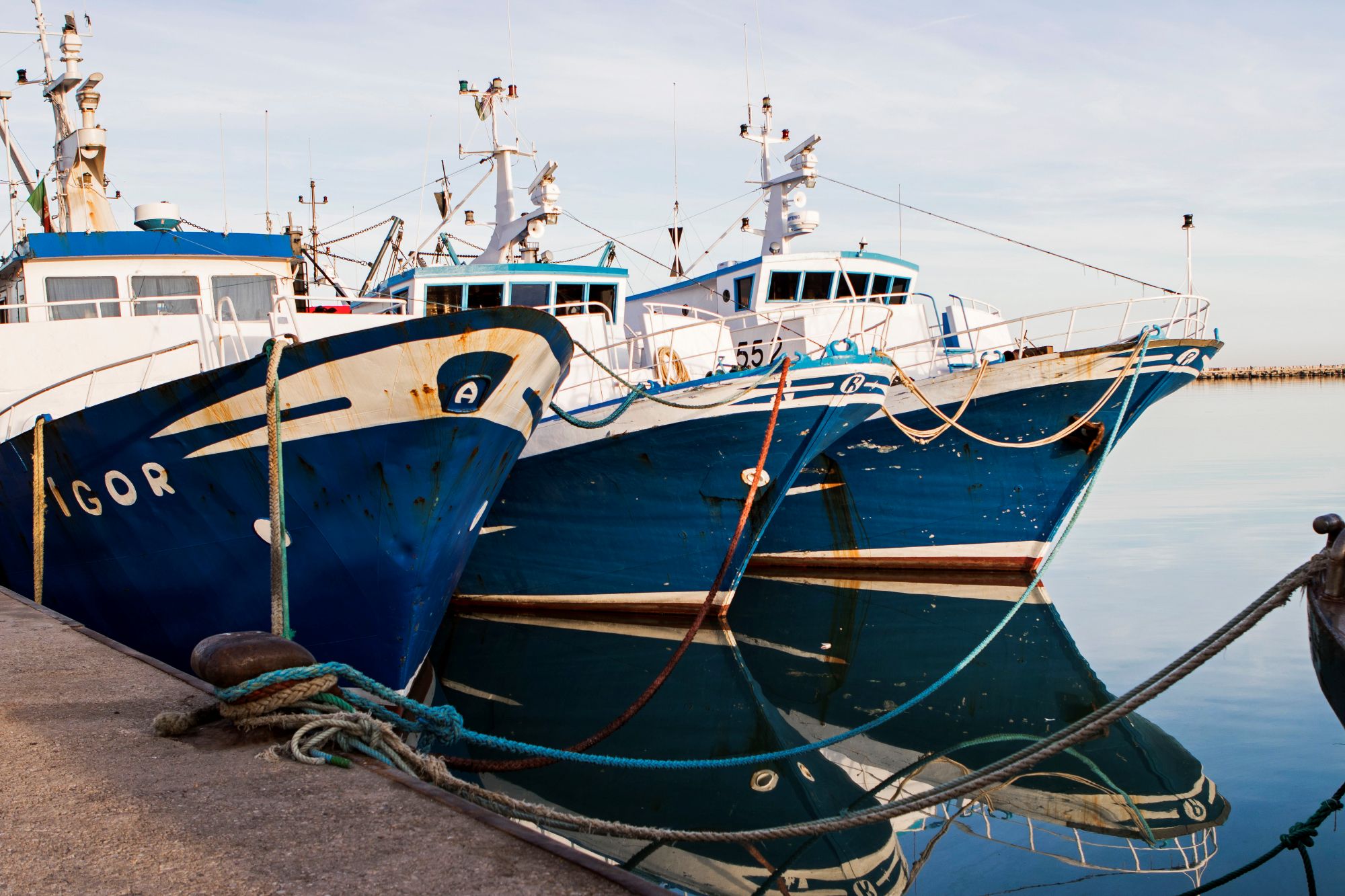 聯絡我們頁首圖片